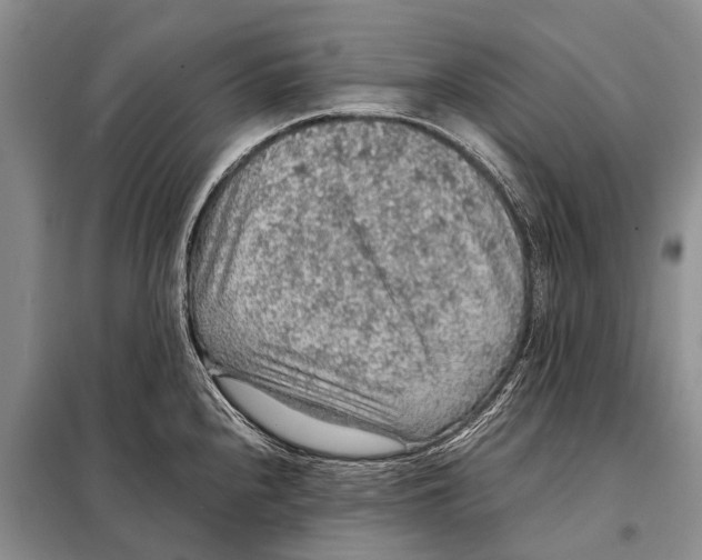 X0000097881240200804110941