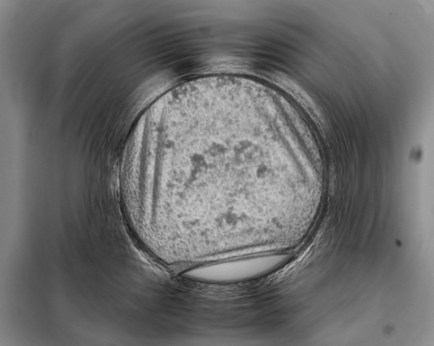 X0000097881241200804110941