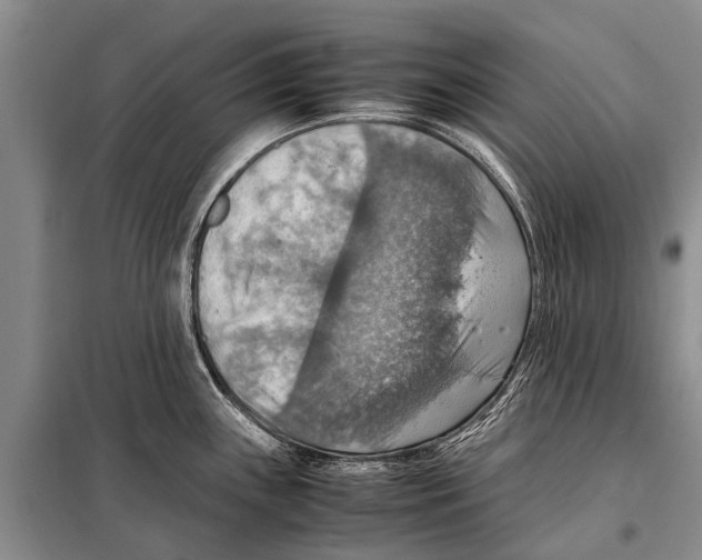 X0000097881243200804110941