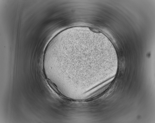 X0000097881244200804110941