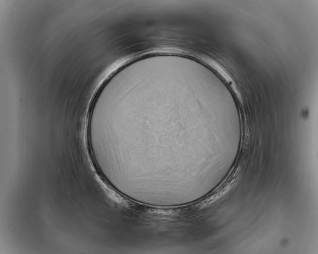 X0000097881245200804110941