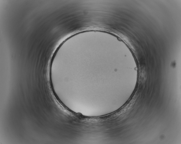 X0000097881246200804110941