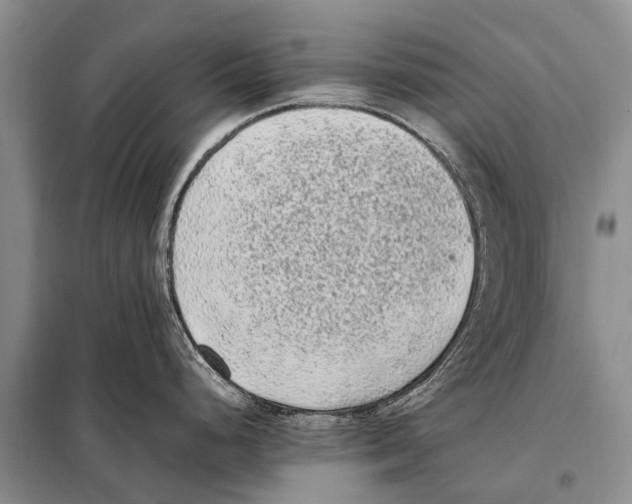 X0000097881248200804110942