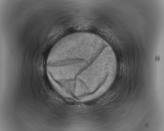 X0000097881250200804110941