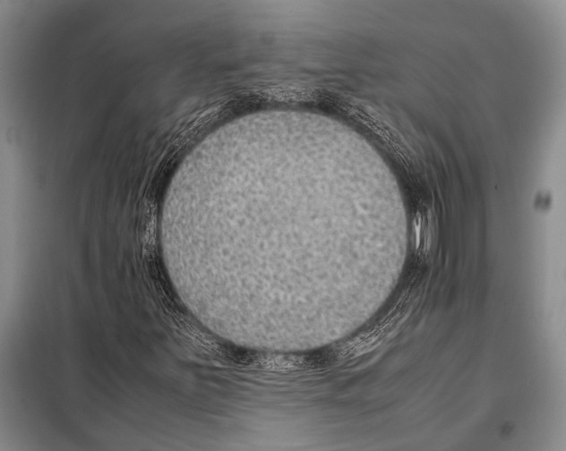 X0000097881251200804110940