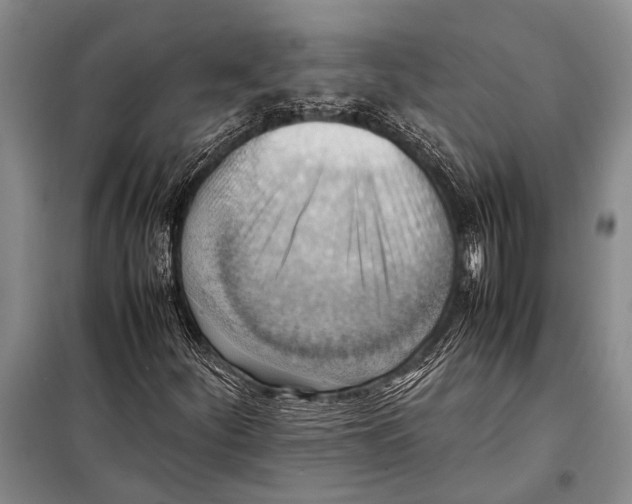 X0000097881252200804110940