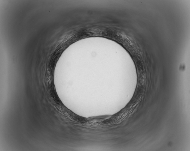 X0000097881253200804110940