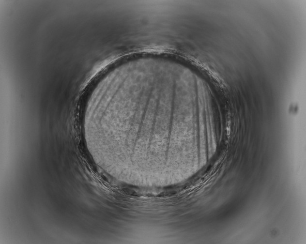 X0000097881256200804110940