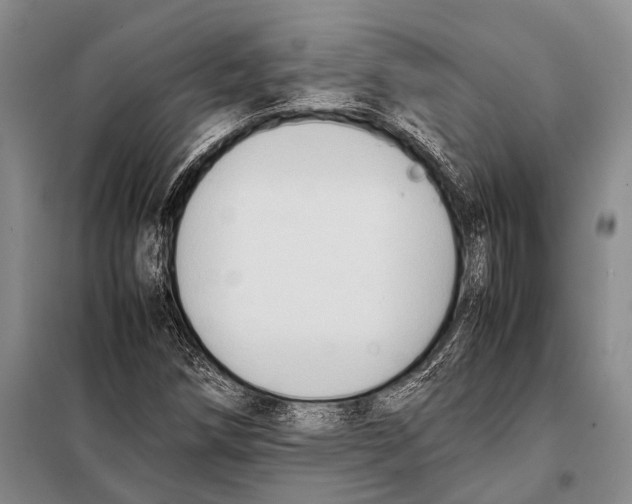 X0000097881258200804110940