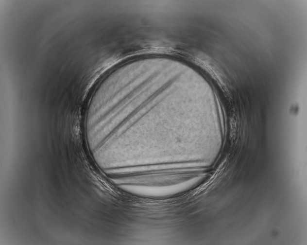 X0000097881260200804110940