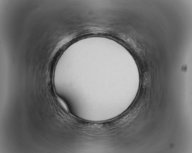 X0000097881261200804110940