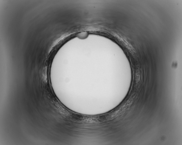 X0000097881262200804110940