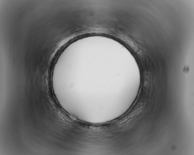 X0000097881264200804110940