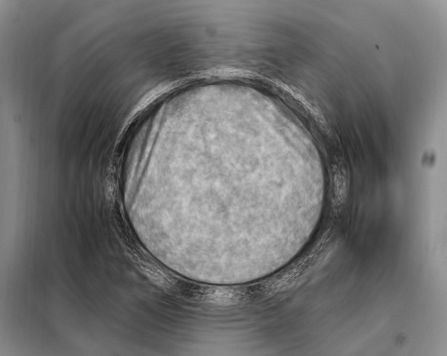 X0000097881266200804110940