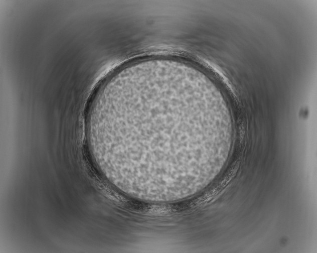 X0000097881267200804110940