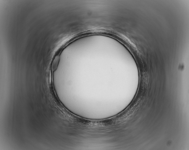 X0000097881269200804110940