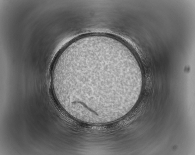 X0000097881271200804110940