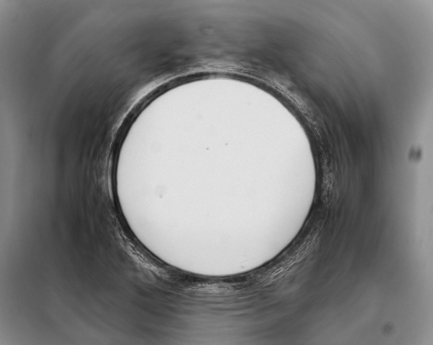 X0000097881272200804110940