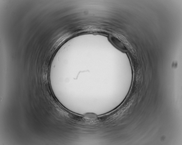 X0000097881273200804110940