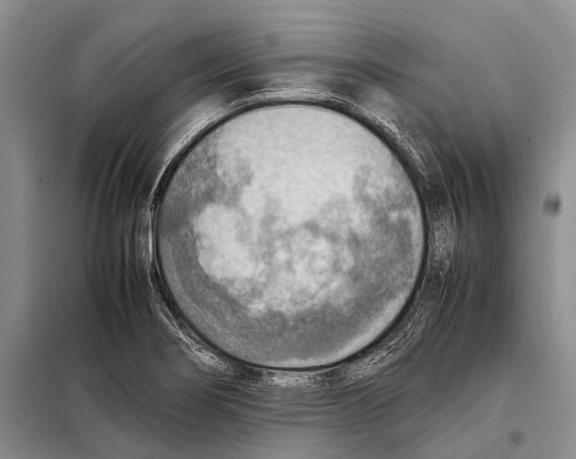 X0000097881274200804110940