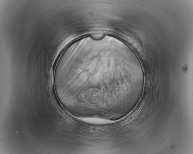 X0000097881275200804110940