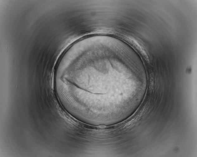 X0000097881276200804110940