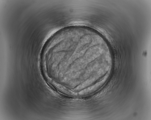 X0000097881277200804110940