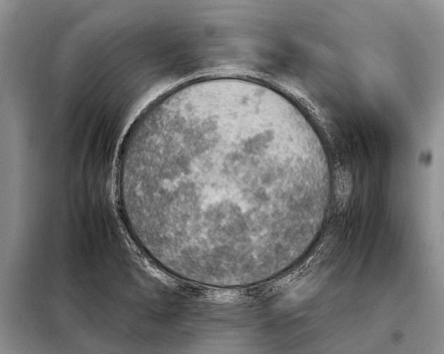 X0000097881278200804110940