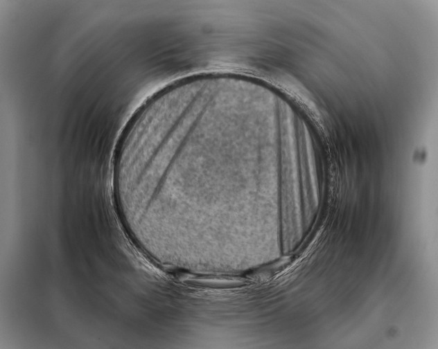 X0000097881280200804110940