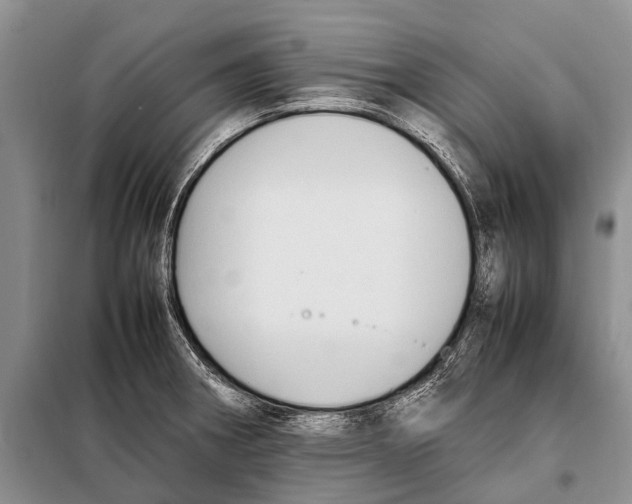 X0000097881282200804110940