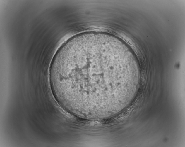 X0000097881283200804110940