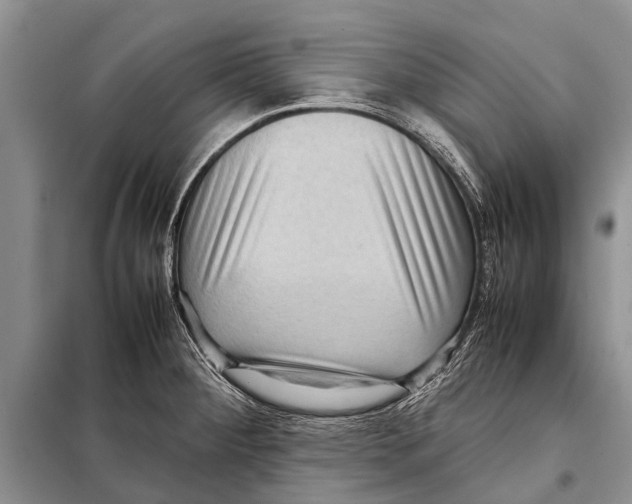 X0000097881284200804110940