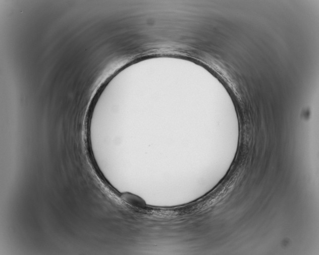 X0000097881285200804110940