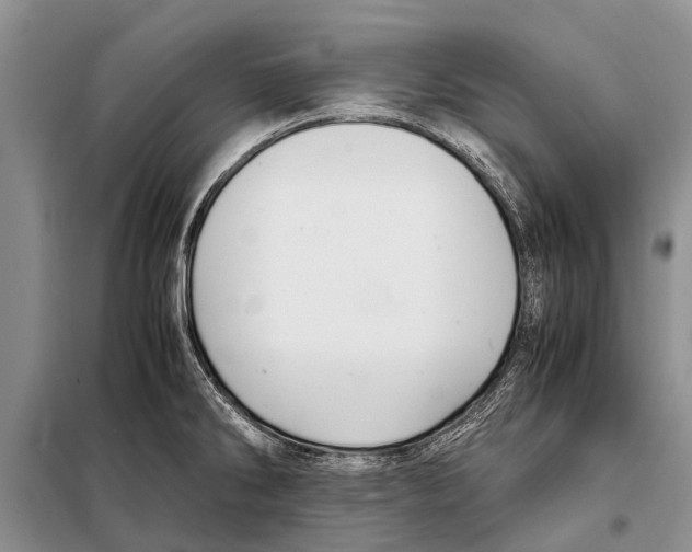 X0000097881286200804110940