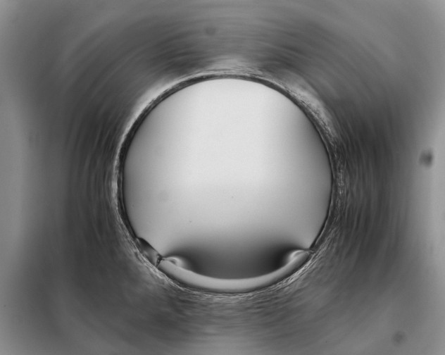 X0000097881288200804110940