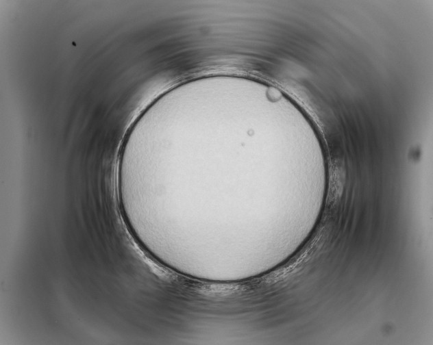 X0000097881290200804110940