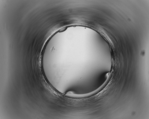 X0000097881292200804110940