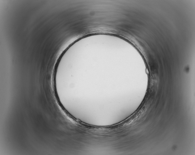 X0000097881293200804110940