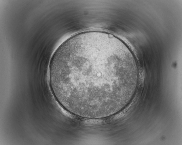 X0000097881294200804110940