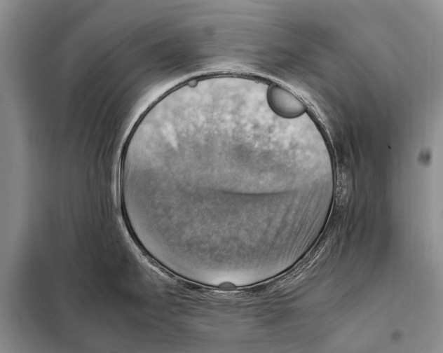 X0000097881295200804110940