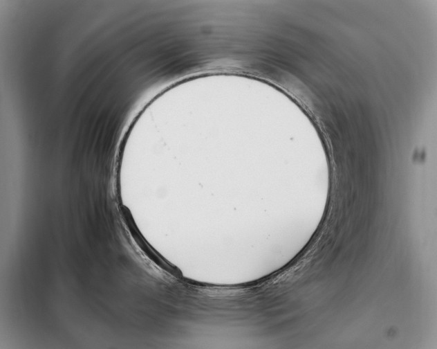 X0000097881296200804110940