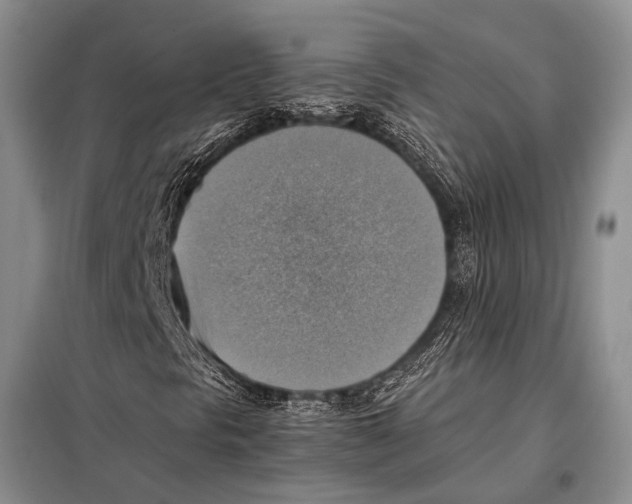 X0000097881297200804110939