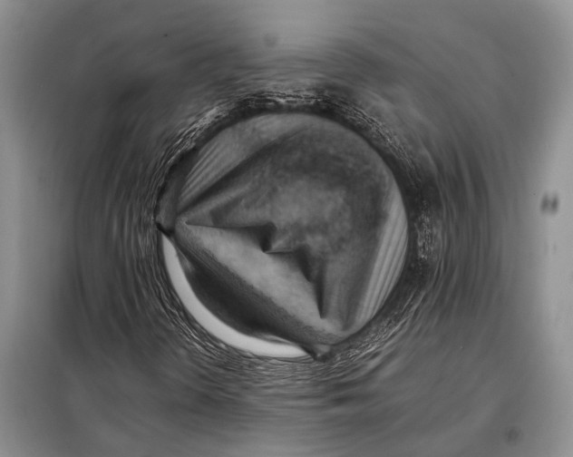 X0000097881298200804110939