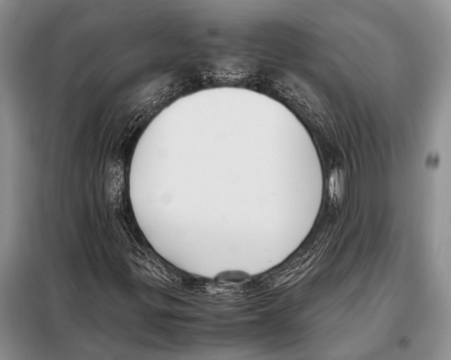 X0000097881299200804110939