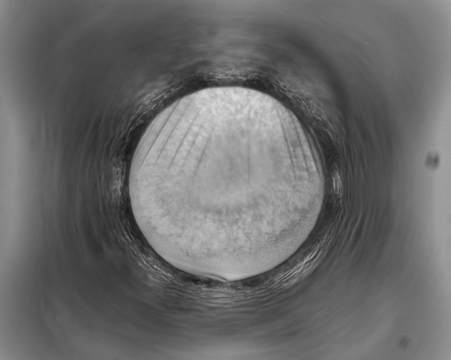 X0000097881300200804110939