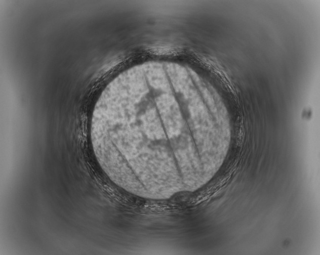 X0000097881301200804110939