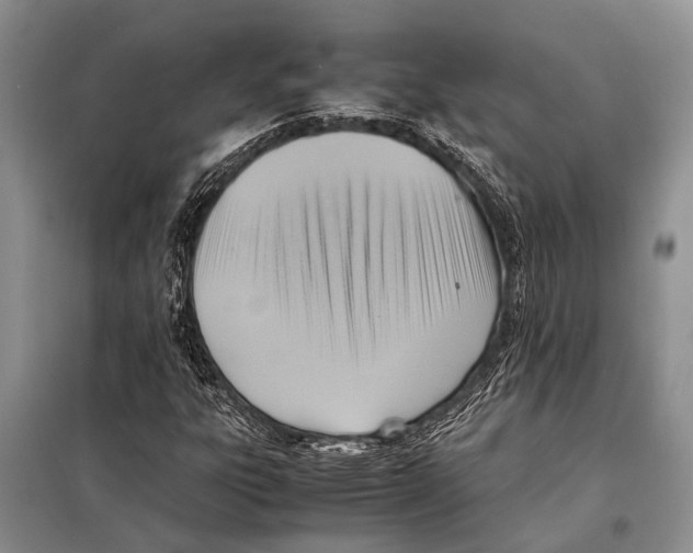 X0000097881303200804110939