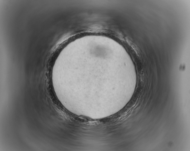 X0000097881304200804110939