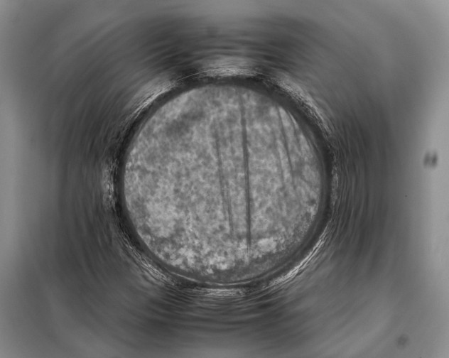 X0000097881305200804110939