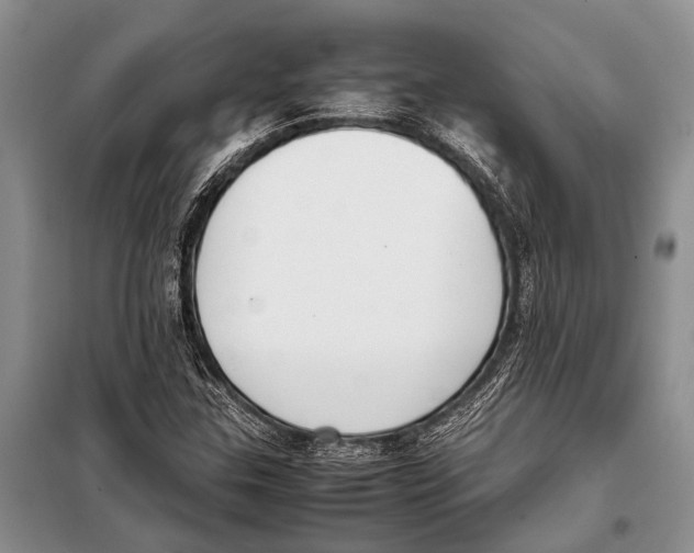 X0000097881307200804110939